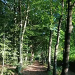 Сasa de vacaciones Casa Foresta - Minimalistisches 1-raum Tiny House Direkt Am Wald