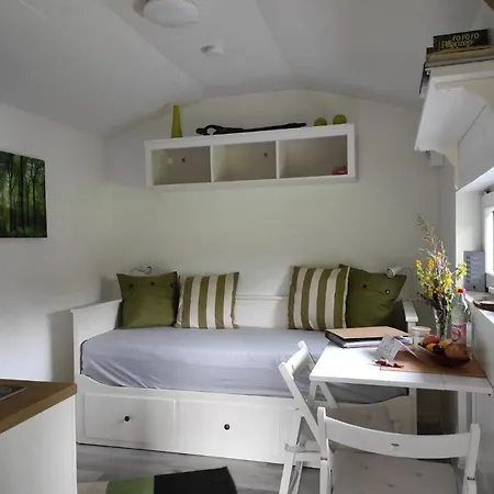 펜션 Casa Foresta - Minimalistisches 1-raum Tiny House Direkt Am Wald