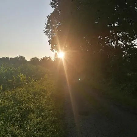 Casa Foresta - Minimalistisches 1-raum Tiny House Direkt Am Wald Wingst