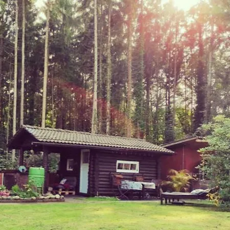 Casa Foresta - Minimalistisches 1-raum Tiny House Direkt Am Wald 펜션 *