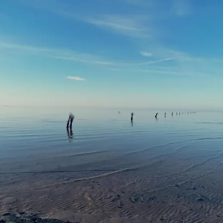 펜션 Casa Foresta - Minimalistisches 1-raum Tiny House Direkt Am Wald Wingst