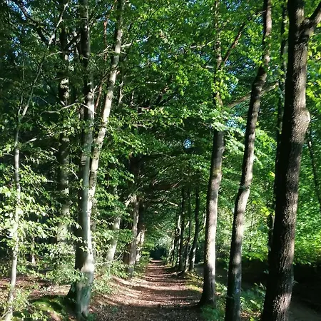 Prázdninový dům Casa Foresta - Minimalistisches 1-raum Tiny House Direkt Am Wald