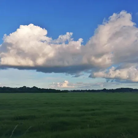 بيت للعطل Casa Foresta - Minimalistisches 1-raum Tiny House Direkt Am Wald وينغست