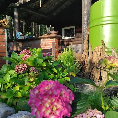 Casa Foresta - Minimalistisches 1-raum Tiny House Direkt Am Wald Prázdninový dům