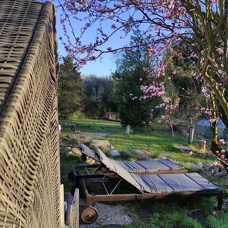 Casa Foresta - Minimalistisches 1-raum Tiny House Direkt Am Wald 펜션 Wingst