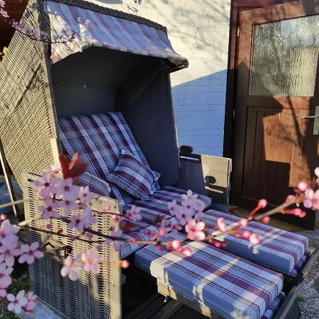 펜션 Casa Foresta - Minimalistisches 1-raum Tiny House Direkt Am Wald *