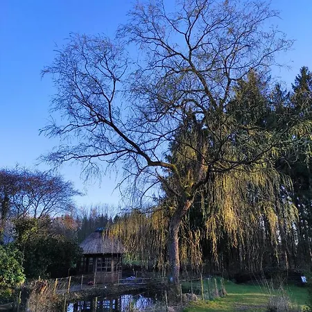 Casa Foresta - Minimalistisches 1-raum Tiny House Direkt Am Wald 펜션 *