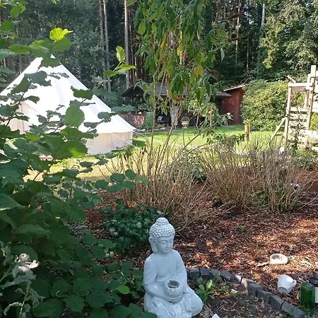 Casa Foresta - Minimalistisches 1-raum Tiny House Direkt Am Wald *