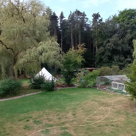 펜션 Casa Foresta - Minimalistisches 1-raum Tiny House Direkt Am Wald Wingst