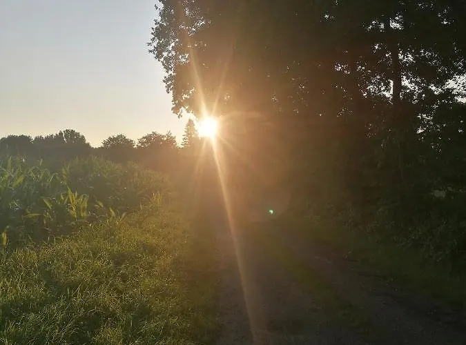 Casa Foresta - Minimalistisches 1-raum Tiny House Direkt Am Wald Wingst