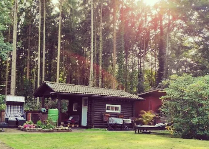 Casa Foresta - Minimalistisches 1-raum Tiny House Direkt Am Wald Сasa de vacaciones *