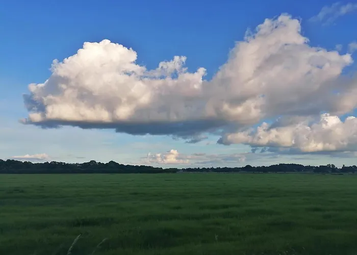 Сasa de vacaciones Casa Foresta - Minimalistisches 1-raum Tiny House Direkt Am Wald Wingst