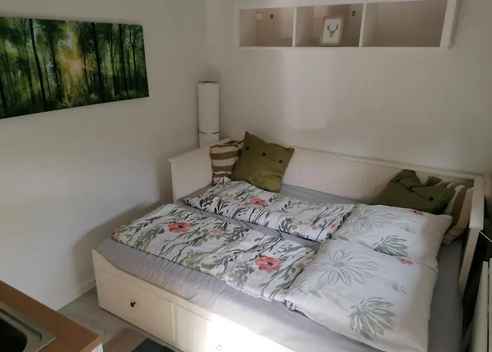 Casa Foresta - Minimalistisches 1-raum Tiny House Direkt Am Wald Сasa de vacaciones *