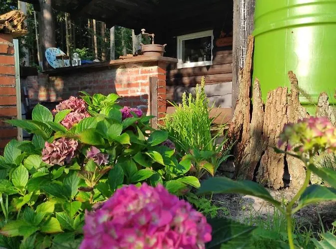 Casa Foresta - Minimalistisches 1-raum Tiny House Direkt Am Wald Сasa de vacaciones