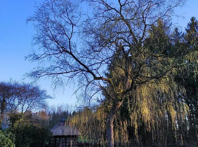 Casa Foresta - Minimalistisches 1-raum Tiny House Direkt Am Wald Сasa de vacaciones *
