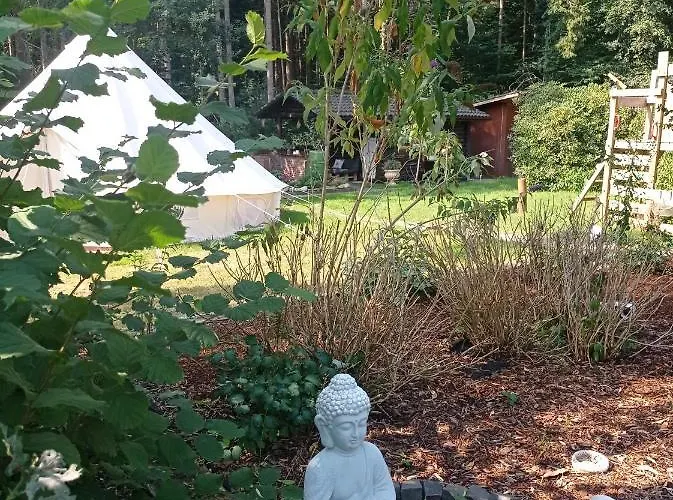 Casa Foresta - Minimalistisches 1-raum Tiny House Direkt Am Wald *